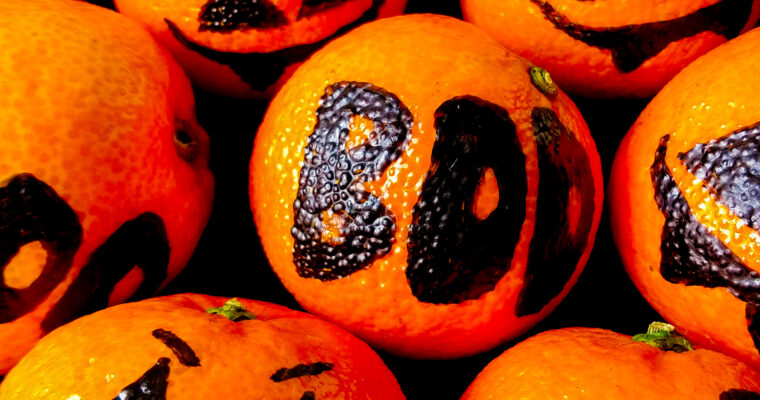 Clementine Pumpkins (Super Easy!) –  Healthy Halloween Treats